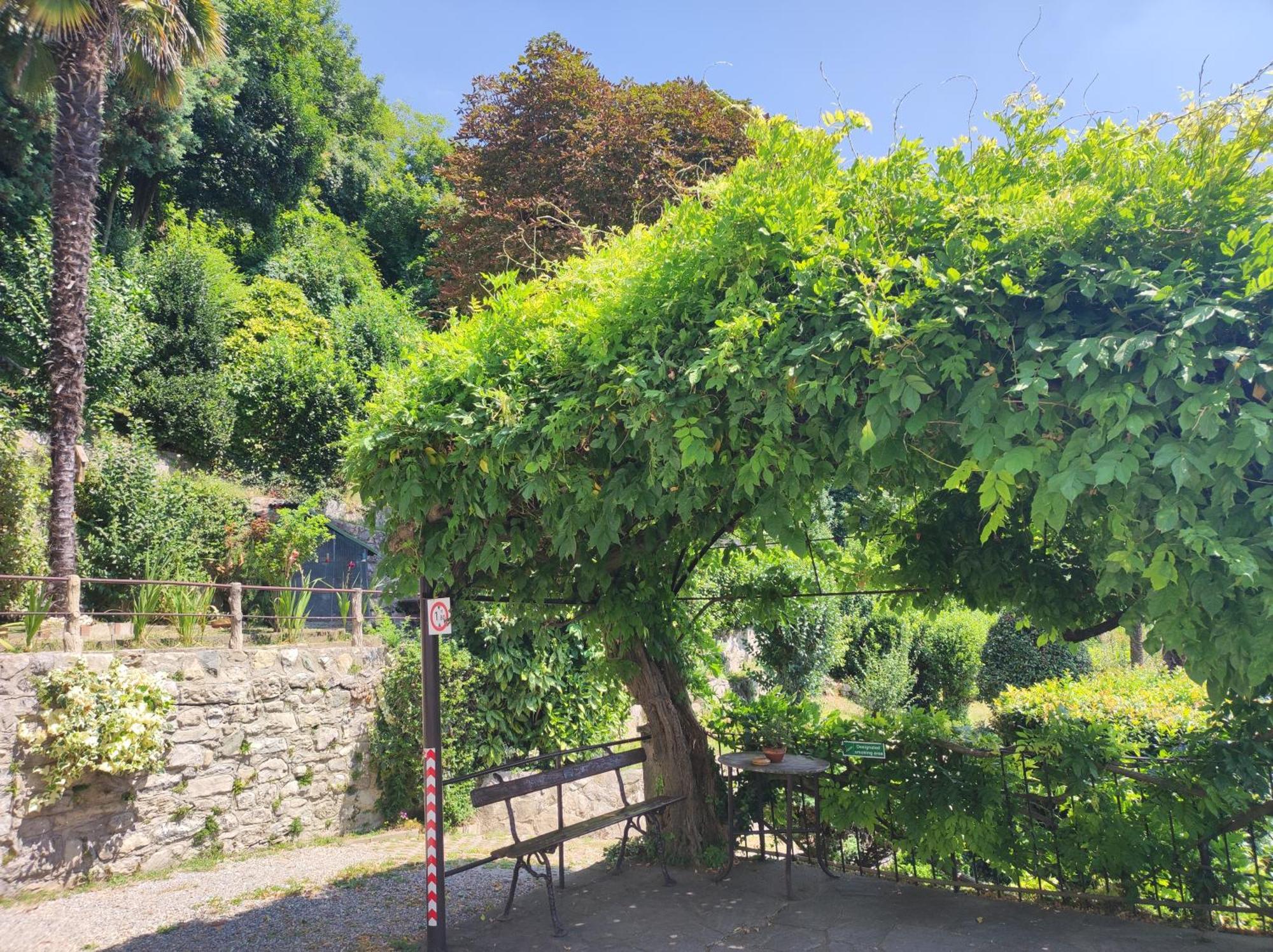 Villa Antonella, App. Vittoria Tavernerio Luaran gambar